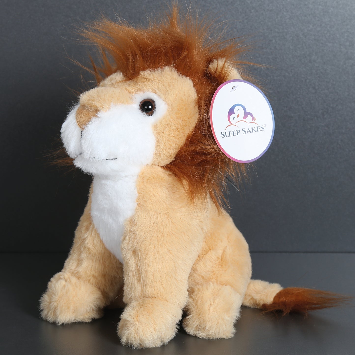 Sleepsakes Plush Teddies, 25cm