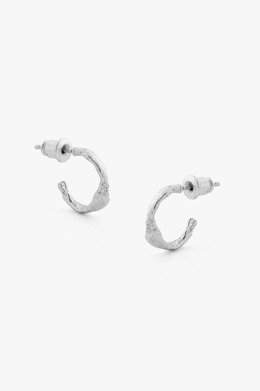 Fern Earrings Silver